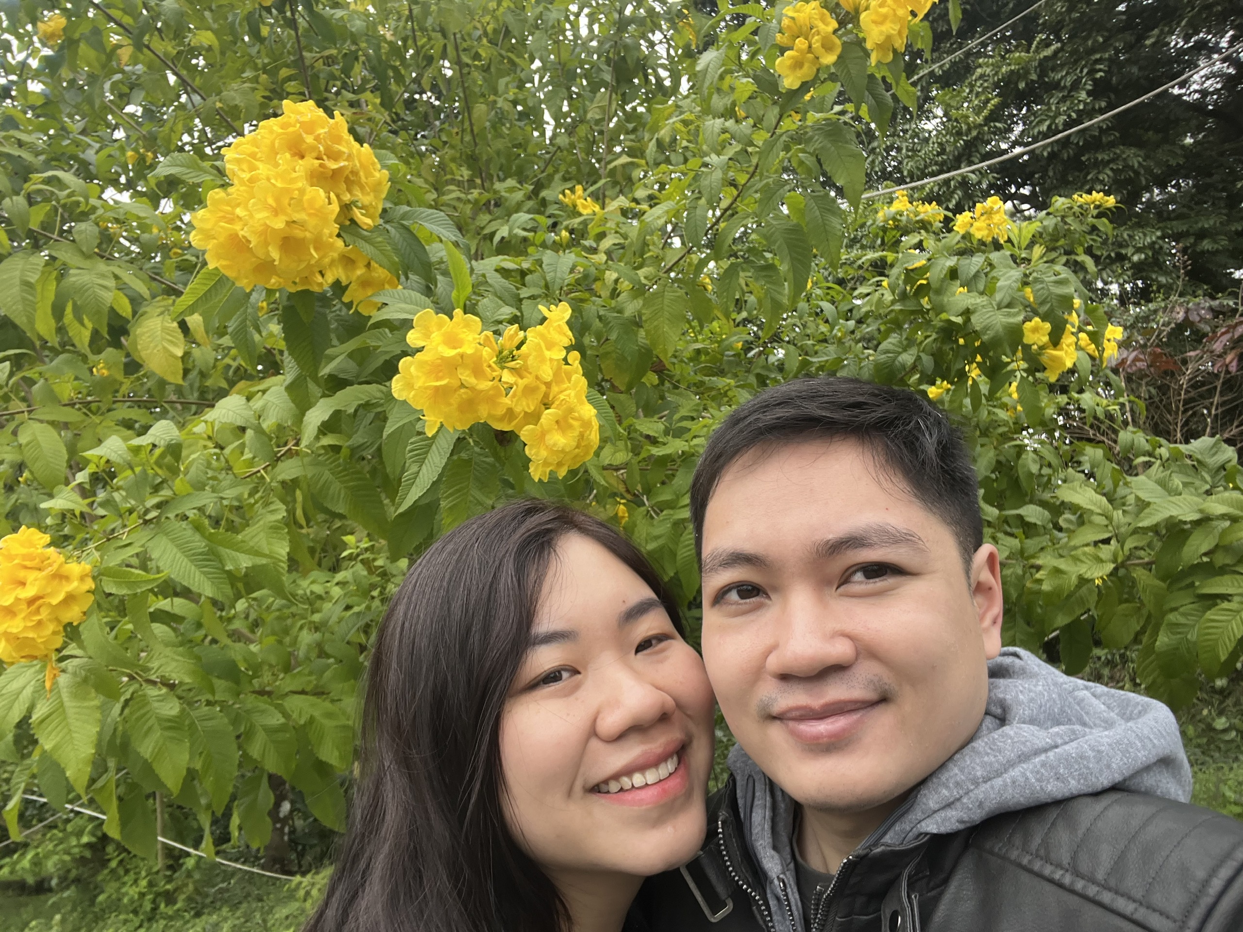 Việt Anh & Phương Linh